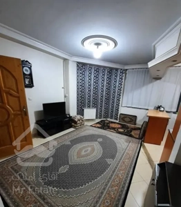 45متر/پارکینگ دار/غرق در نور /خوش نقشه/هفت چنار