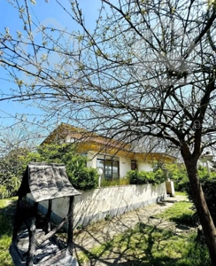 ویلا دوبلکس ساحلی جنگلی چمخاله