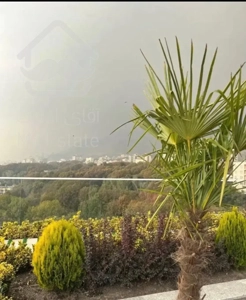 گلستان شمالی۳۴۰مترچشم انداز ابدی سبز