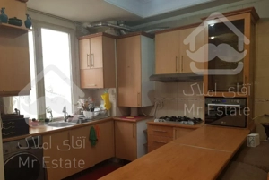 شاهین شمالی*انتهای بهار*۶۰متر