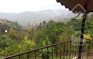 اجاره روزانه باغ ویلا جاده جواهرده