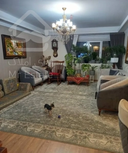 ۸۵متری / ۲خواب / نوساز / تعاونی