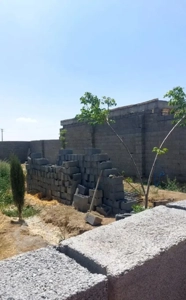 باغ چهاردیواری. تیمیارت. باآب و برق