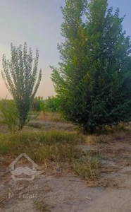 باغ چهاردیواری خرید آسان موقیت عالی