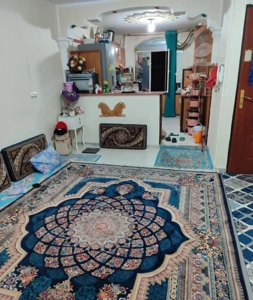 فروش آپارتمان ۶۵ متری/ ۱ خوابه /طبقه ۲