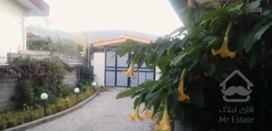 اجاره ویلا دوخواب جنگلی تمیز