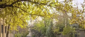 آپارتمان ۲۲۰ متر تک واحدی مدرن کامرانیه