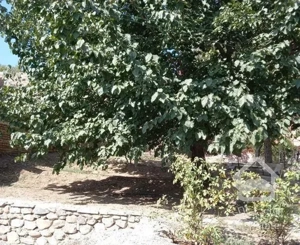 ویلا 675متری دوخواب