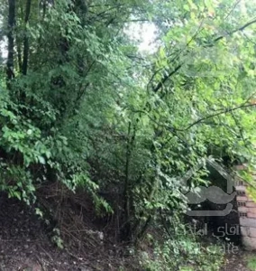 کلاردشت لاهو 1700متر زمین 200متر بنا