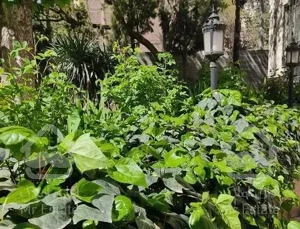 سالم ۱۹۰ متر ۳ خواب