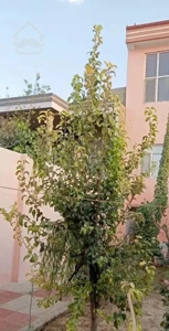 باغ شهرکی موقعیت یک