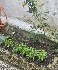 فروش خانه ویلایی..