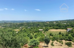 فروش ویلا ( زمین ،باغ )