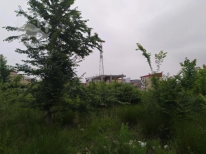 فروش زمین در رشت