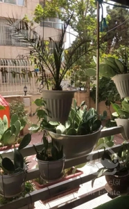 شریعتی/۱۰۵ متر/تک واحدی/مجرد