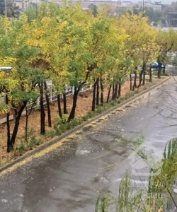 ۸۶ متر ۲ خواب بر بلوار ارم