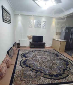 فروش آپارتمان ۵۳ متری ۱ خوابه در کوی هفدهم شهریور