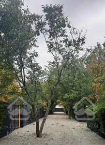 فروش زمین ۴۱۰ متری سندششدانگ شهرکی تهراندشت