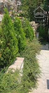 امیرآباد شمالی // ۲۴۶ متر // ۴ خواب