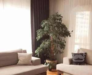 ۱۷۰متر/فول دیزاین/شهران شمالی/رو به آفتاب