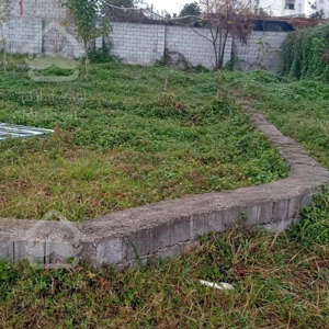 فروش زمین کاسبی