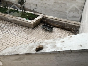 ۲۱۱مترکلنگی جنوبی یک طبقه زیبادشت دهکده راه اهن