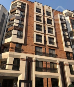 ۱۵۰متر  بالای کاج روبه آفتاب