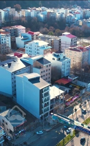 بر اصلی گلستان/ ویو دار