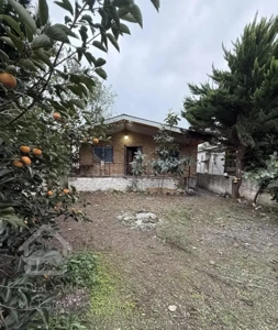 خونه ویلایی مستقل 300m سنددار فقط پول زمین