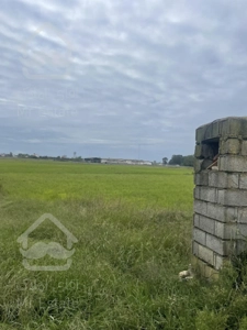 ۴۰۰۰ متر زمین کشاورزی متری ۵۰۰