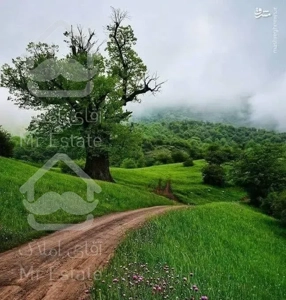 شرکت خدماتی نظافتی آرتان پاک گونش توسط خانم واقا