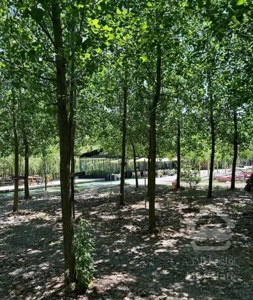 اقامت در رویایی ترین منطقه ایران