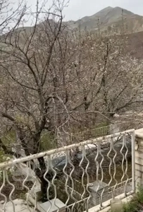 مزایده باغ ویلا امامه فشم