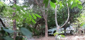 خانه ویلایی بیست متری امت