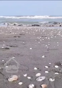 آپارتمان سه خوابه ویو دار