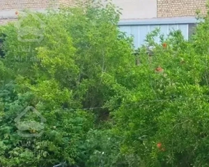 250متر سند۶ کوچه حناکوچه۲۶