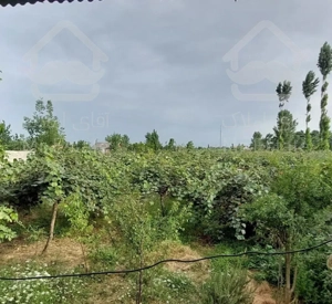 خانه محوطه 770متر لیسار