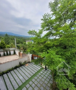 تریبلکس جنگلی ۳۰۰ متری باروف و جکوزی(آمل)