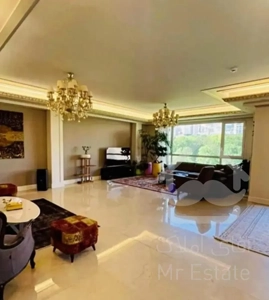 ۲۶۰متر زعفرانیه/محدوده کاخ سعداباد/چشم انداز ابدی