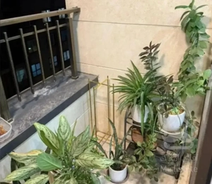 ۹۷متر، ۲خواب، روبه افتاب، ۲پارکینگ