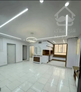 ۵۰مترغرق نور،سرمایه گذاری،سندتکبرگ،وام دار