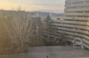 هم خانه خانم مالک هستم همخانه خانم
