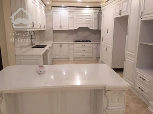 فروش 195 متری پاسداران