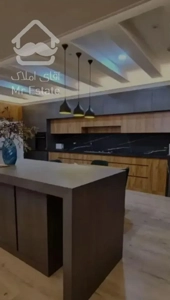 ۲۵۰ متر / محمودیه / برند برج محمودیه