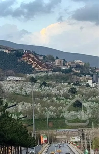 لواسان فروش/تهاتر/2350مترباغ ویلایی