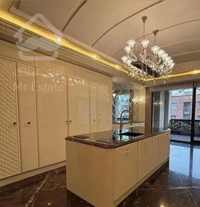 ۲۱۰ م/ نیاوران شمال کاخ ( تاپ لوکیشن )