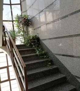 گلبرگ غربی/اول حیدری/۵۵متر۱خواب باپارکینگ تخلیه