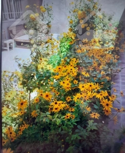 خانه ای شیک نوساز فول امکانات مسافران در خلخال