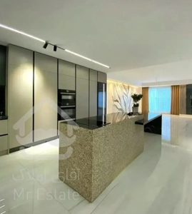 ۲۳۰ متر مدرن ۳ خواب کینگ مستر / کلید نخورده