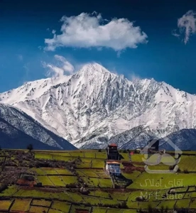 اجاره آپارتمان پاسداران